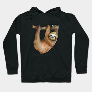 Sloth Watercolor Hoodie